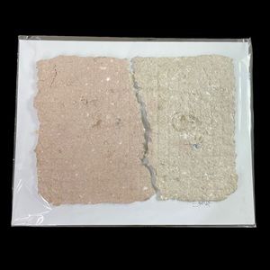 pressed paper wall art